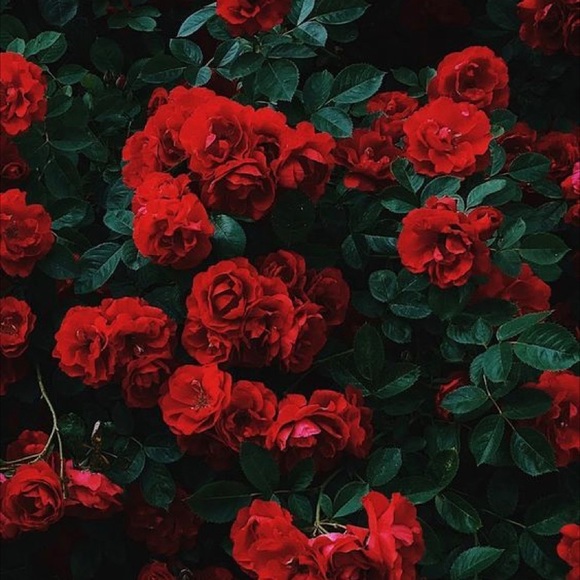 theredstyle_23